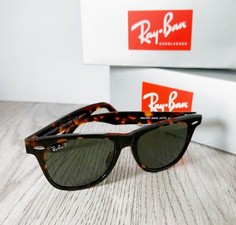 Rayban Glasses (10)